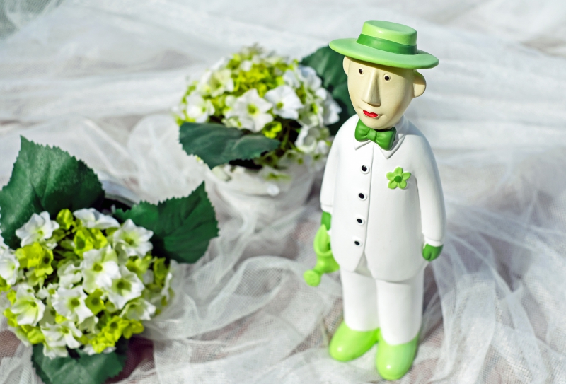 vitrine-NEOULES-min_man-person-flower-green-toy-fig-546529-pxhere.com